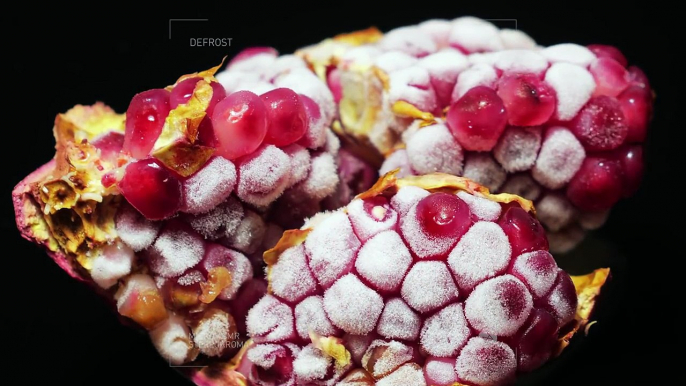 Décongeler des fruits et légumes en slow motion... Juste beau