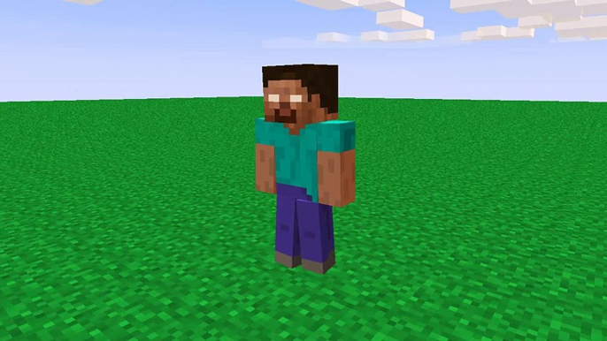 Teleporting - Minecraft Test Animation