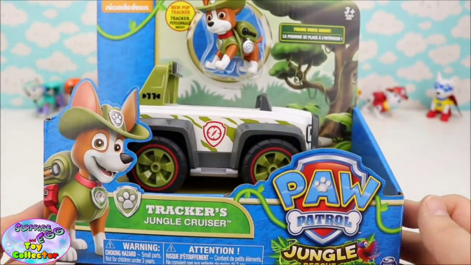 Paw Patrol Jungle Rescue Tracker Surprise Cubeez Cube Surprise Egg and Toy Collector SETC