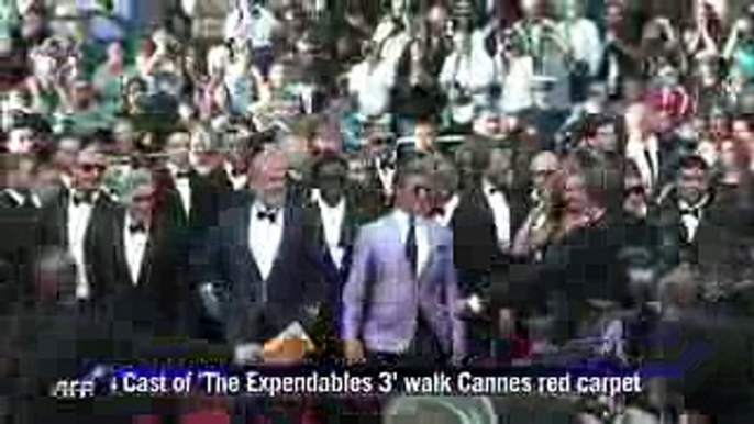 Cannes Red Carpet_ 'The Expendables 3'