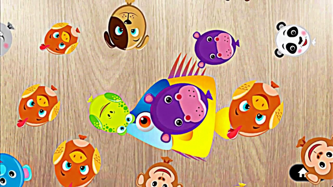 Puzzle Games for Kids   Learning Gameplay Apps Videos - Puzzle Animals Games