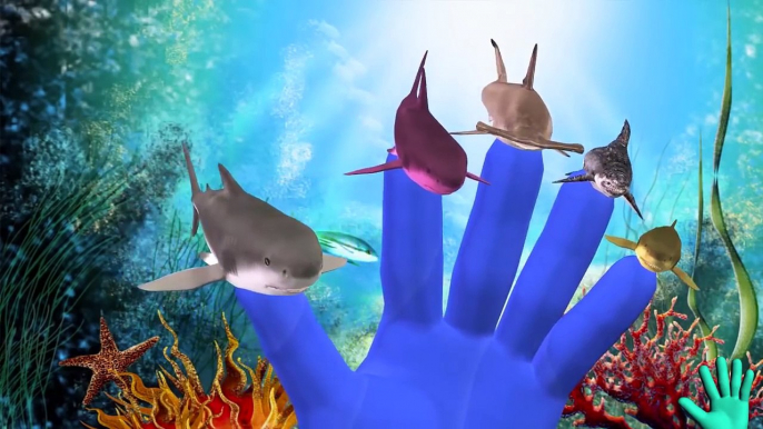 Finger Family Shark Family | Shark Finger Family Collection For Children | Animal Finger Family