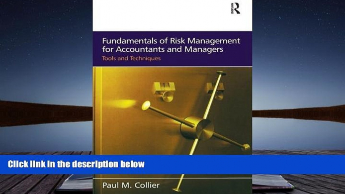 Read  Fundamentals of Risk Management for Accountants and Managers  PDF READ Ebook