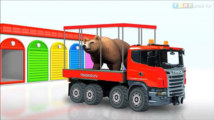 Animal Transporter Learning Color for Kids Learn Animals for Children