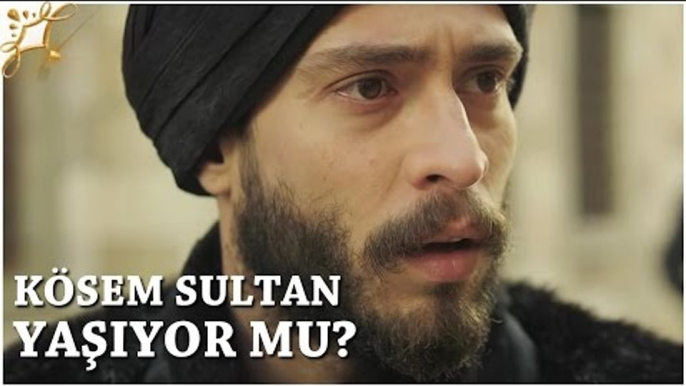 Muhteşem Yüzyıl: Kösem 15.Bölüm | Kösem Sultan yaşıyor mu?