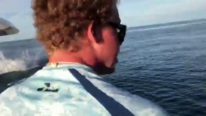 Huge mako sharks breach out the water off the coast of Florida