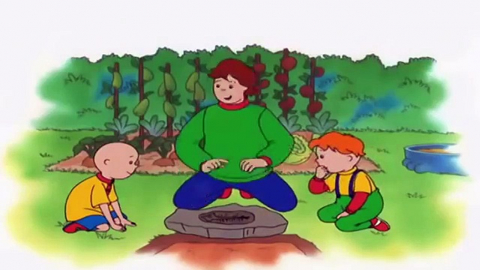 Caillou en français - 3 Heures | dessin animé complet en francais