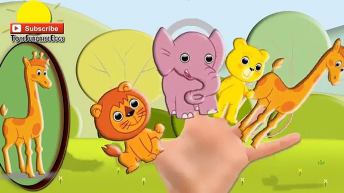 Bummi bär Finger Family Song lyrics deutsch bummi bummi, Bummi und seine freunde | ToysSurpriseEggs