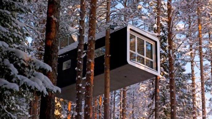 Cette maison dans les arbres a été conçu pour admirer les aurores boréales