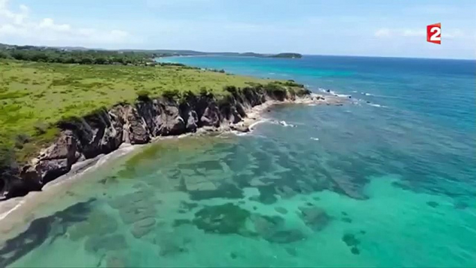 Une baie magique au large de Porto Rico-kz7zd81VQvE