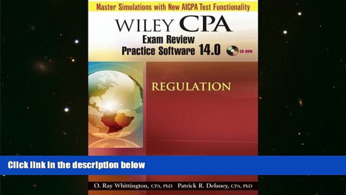 Read Book Wiley CPA Examination Review Practice Software 14.0 Regulation Patrick R. Delaney  For