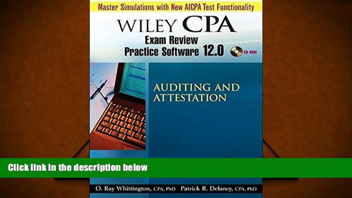 Read Book Wiley CPA Examination Review Practice Software-Audit 12.0 Patrick R. Delaney  For Ipad