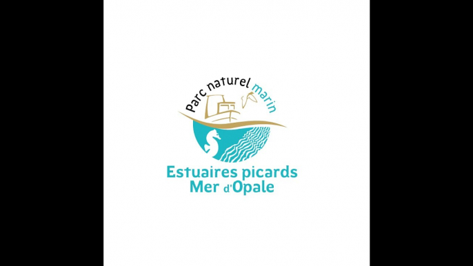 Le Parc naturel marin des estuaires picards et de la mer d'Opale vous souhaite une bonne année 2017 !