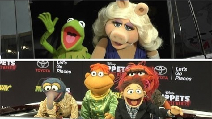 The Muppets "Muppets Most Wanted" World Premiere