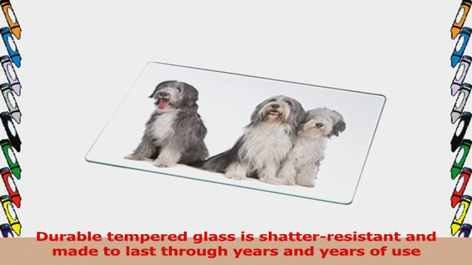 Rikki Knight RKLGCB31 Bearded Collie Dogs Design Glass Cutting Board Large White 83f7b07b