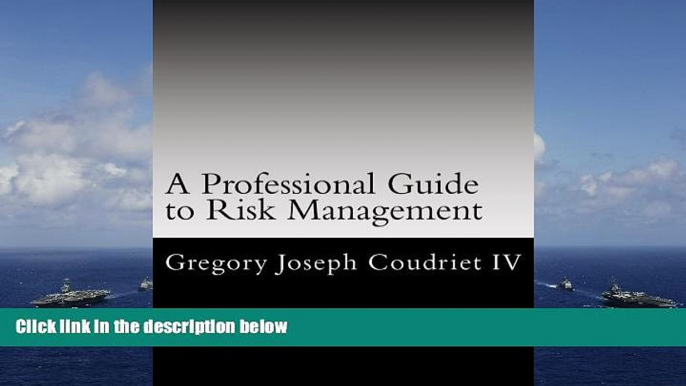 Read Online A Professionals Guide to Risk Management: A comprehensive analysis of the risk