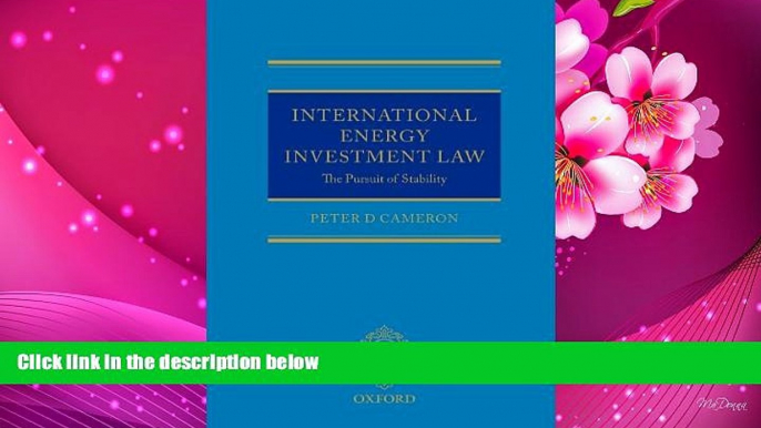 READ book International Energy Investment Law: The Pursuit of Stability Peter Cameron For Kindle