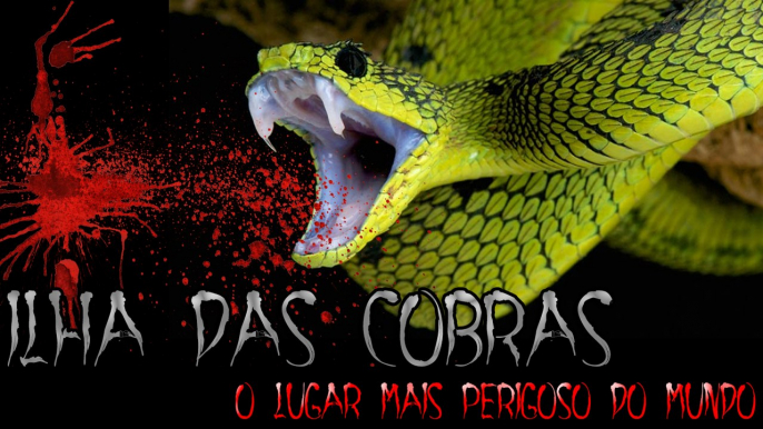 Ilha das Cobras (SP) - O Lugar Mais Perigoso Do Mundo