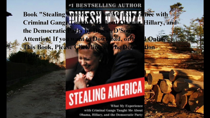 Download Stealing America: What My Experience with Criminal Gangs Taught Me about Obama, Hillary, and the Democratic Par