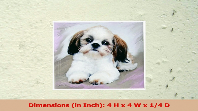 3dRose cst48074 Shih Tzu Puppy Ceramic Tile Coasters Set of 8 06bcac4a