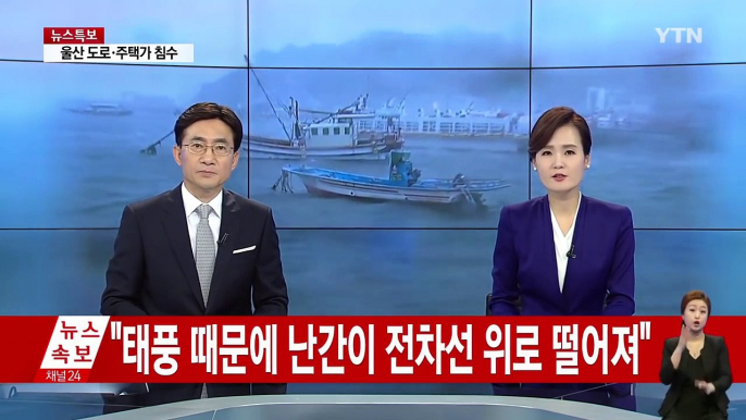 울산 시간당 124㎜ 물 폭탄...태화강 홍수경보 발령 / YTN (Yes! Top News)