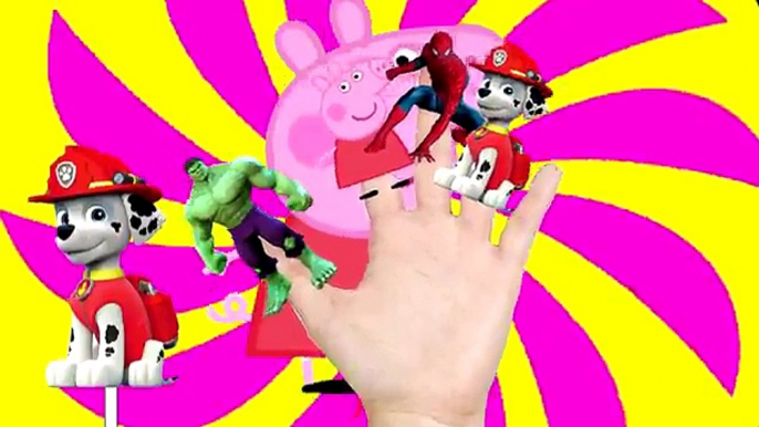 Finger Family collection Spiderman Paw Patrol Peppa pig Lollipop Nursery Rhymes Lyrics for Kids