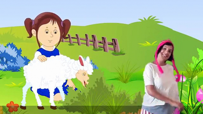 Mary Had A Little Lamb Nursery Rhyme With Lyrics - Cartoon Animation Rhymes & Songs for Children