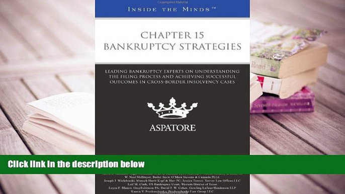 BEST PDF  Chapter 15 Bankruptcy Strategies: Leading Bankruptcy Experts on Understanding the Filing