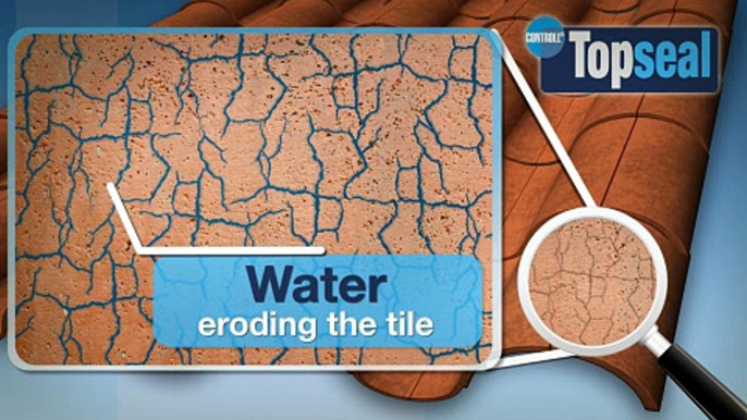 How #Topseal is the ideal treatment for leaking #roofs