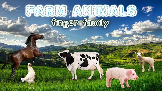 Finger Family Farm Animals | Nursery Rhymes & Kids Songs | dRuLii TV