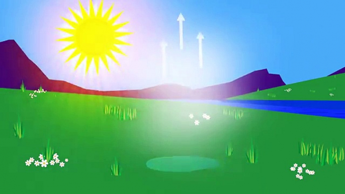 Water Cycle Song Video