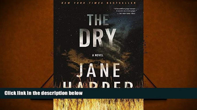 Best Ebook  The Dry: A Novel  For Trial