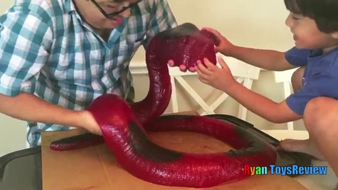 WORLDS LARGEST GUMMY SNAKE CANDY CHALLENGE 26lb Giant Gummy Worm Python Ryan ToysReview