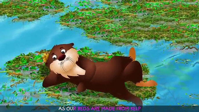 Nutria De Mar Rima De Cuarto De Niños ChuChuTV Mar Del Mundo Animal Canciones Para Niños