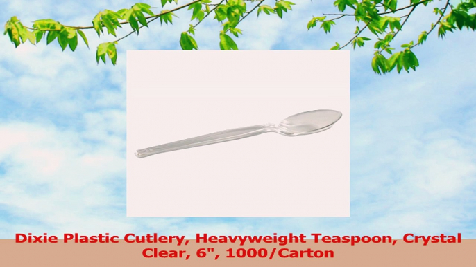 Dixie Plastic Cutlery Heavyweight Teaspoon Crystal Clear 6 1000Carton 8324e60f