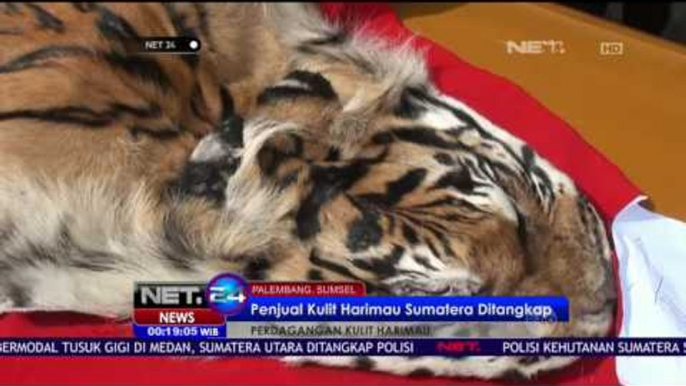 Polisi Kehutanan Sumatera Selatan Tangkap Penjual Kulit Harimau - NET24