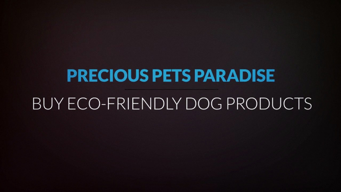 Buy Cheap Dog Bed : Precious Pets Paradise