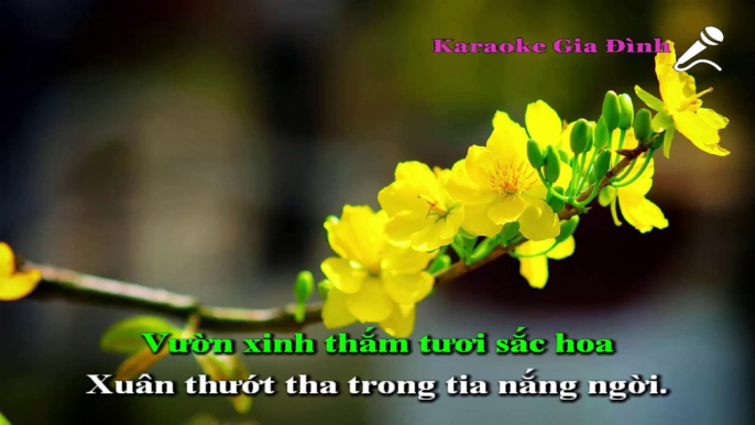 Hạnh Phúc Xuân Ngời Karaoke - Tone Thấp (Noo Phước Thịnh)