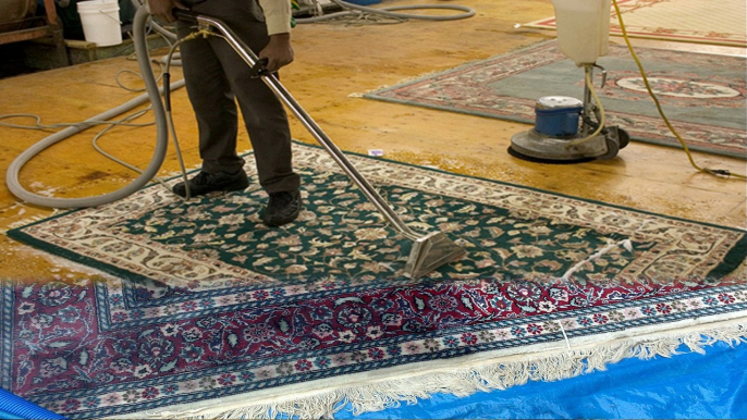 Cleaning carpets and rugs with carpet care in Malvern pa.