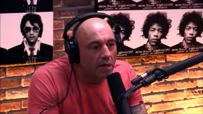 Dominick Cruz on his Unique Fighting Style - JRE #921 - Downloaded from youpak.com