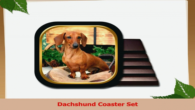 Dachshund Coaster Set 78db55b3