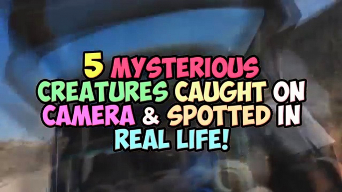 5 Mysterious Creatures Caught On Camera & Spotted In Real Life!