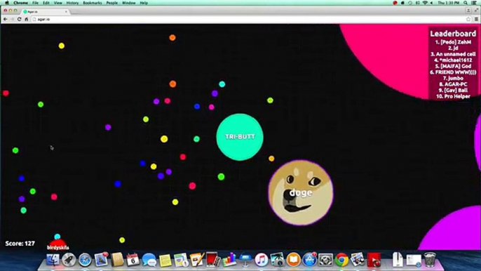 Agar.io