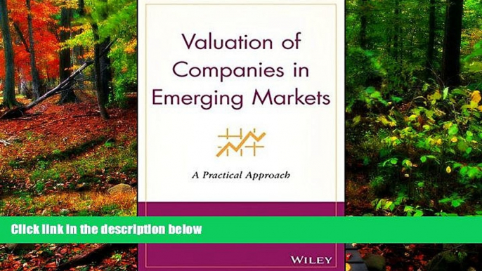 Best Ebook  Valuation of Companies in Emerging Markets  For Trial