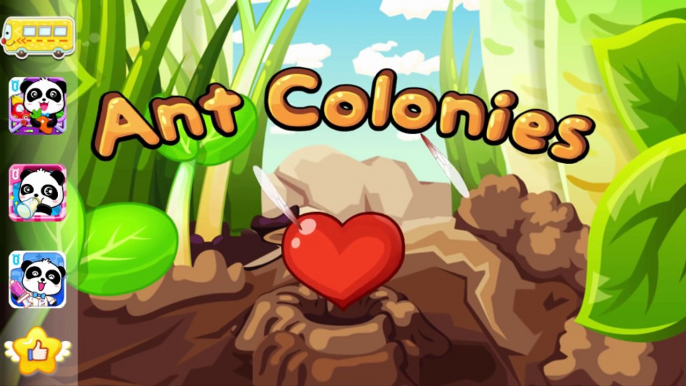 Learn About Ants with Ant Colonies by BabyBus Kids Games for Toddler Preschooler Kindergar