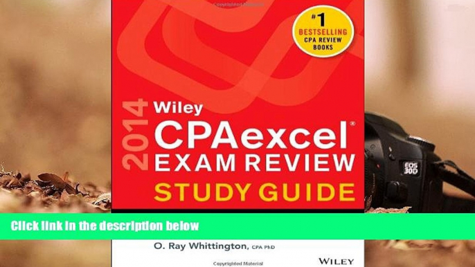 Best Ebook  Wiley CPAexcel Exam Review 2014 Study Guide, Auditing and Attestation  For Full