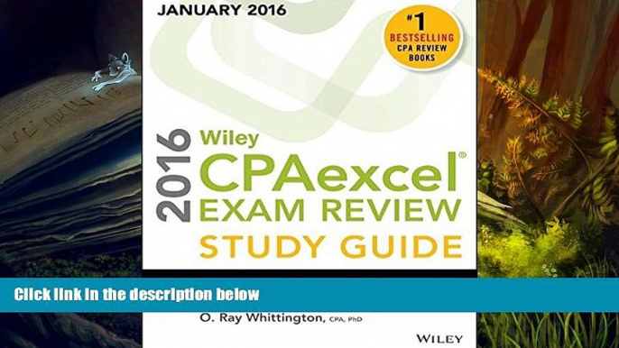 Best Ebook  Wiley CPAexcel Exam Review 2016 Study Guide January: Financial Accounting and