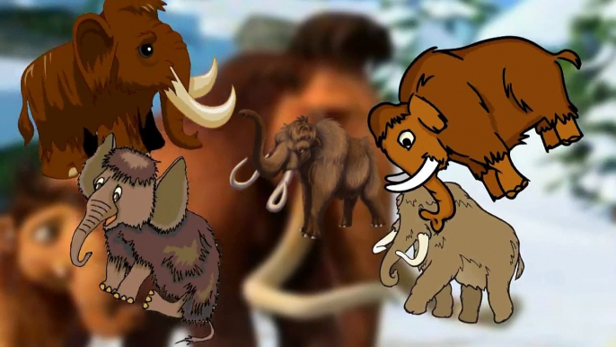 Finger Family Elephant Family Rhymes | Animals Cartoon Finger Family Rhymes for Children