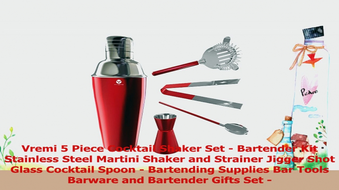 Vremi 5 Piece Cocktail Shaker Set  Bartender Kit Stainless Steel Martini Shaker and 224f2010