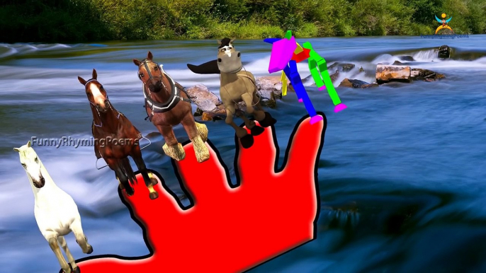 Color 3D Caballo Rimas Caballo Dedo de la Familia de canciones infantiles Para Niños de Colores Caballo Canción Fo